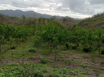 Terreno comercial , Manzanillo · Oportunidad de Inversión Manzanillo Colima