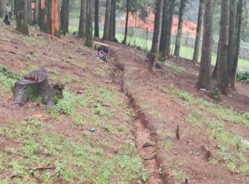 Terreno / Lote de 2 habitaciones, Jilotzingo · Se Vende Terreno Zona Boscosa