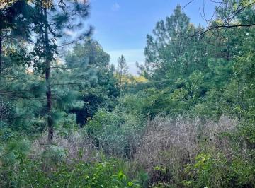 Terreno / Lote , San Cristóbal de las Casas · Hermoso Terreno Campestre Arbolado 1 Hectárea