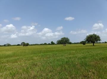 Rancho , Tamiahua · Venta Rancho