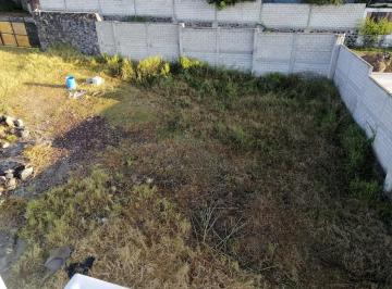 Terreno / Lote , Xochitepec · Magnifico Terreno