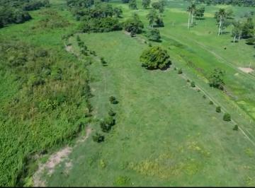 Terreno / Lote , Centro · Terreno de 4.2265 Ha en Venta en Villa Macultepec, Tabasco