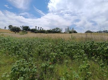 Terreno / Lote , Aguascalientes · Oportunidad de Terreno