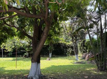 Terreno / Lote de 1 habitación, Cuernavaca · Excelente Oportunidad de Terreno, Cuernavaca Morelos