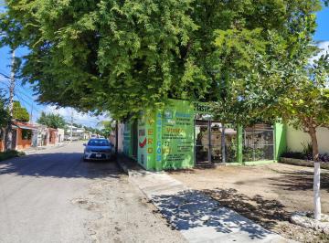 Terreno / Lote 368m² Renta Francisco I Madero · Terreno en Renta con Buena Ubicación, Ideal Para Negocio o Proyecto