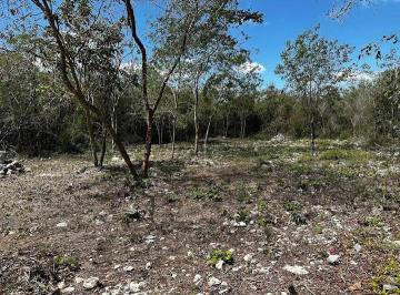 Terreno / Lote en Venta Pueblo Dzidzantun · Lote en Venta — much'Tal, Dzidzantún, Yucatán