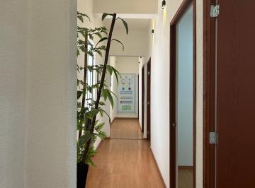 Oficina de 6 habitaciones, Cuauhtémoc · Renta de Oficinas (O Bodega) Remodeladas en Jaime Nuno Sobre Av Reforma.