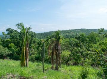 Terreno / Lote , Santa María Tonameca · Terreno en Venta en Mazunte de 1,764 m² con Anteproyecto de Desarrollo