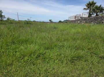Terreno / Lote , Tlayacapan · Terreno en Fraccionamiento Lomas del Paraíso Tlayacapan Morelos