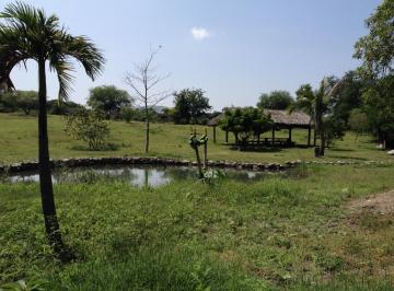 Terreno / Lote , Tlaltizapán · Terreno en Venta Temimilcingo Morelos
