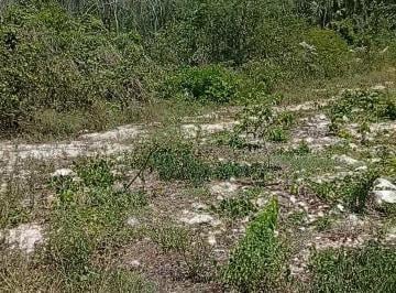 Terreno / Lote , Cancún · Terreno en Rancho Viejo, Col Kukulkan