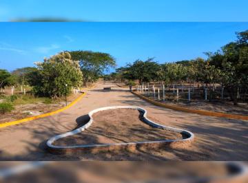 Terreno / Lote , Santo Domingo Tehuantepec · Lote 200 m² en Venta Sobre Camino a Guelaguichi - Fracc. Sicarú - 15 Min Salina C