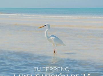 Terreno / Lote , Dzemul · Residencial Flamingos