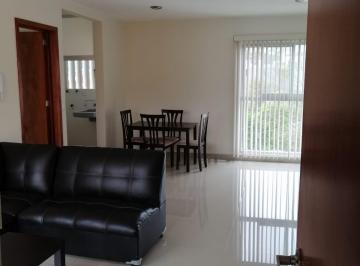 Departamento de 1 habitación, Xalapa · Renta Departamento Monte Magno
