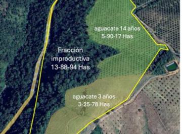 Terreno / Lote , Temascaltepec · Subasta Cesion de Derechos