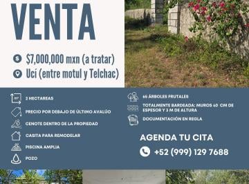 Quinta de 1 habitación, Motul · Quinta con Cenote Propio en Yucatán | 2 Hectáreas en Ucí | Oportunidadquinta con
