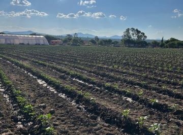 Terreno / Lote de 1 habitación, Huichapan · Terreno con Invernadero