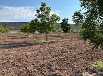 Rancho de 3 habitaciones, General Cepeda · Rancho en Narigua, General Cepeda, Coahuila!