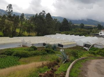Hacienda-Quinta de 4 habitaciones, Quito · Ascázubi, Vendo Quinta Una Hectárea, 4500 m² de Invernaderos Producción, Tomate, Pimiento.