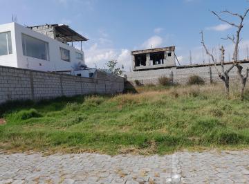 Terreno / Lote , Quito · Vendo Terreno 595 m² Sector Tola Grande