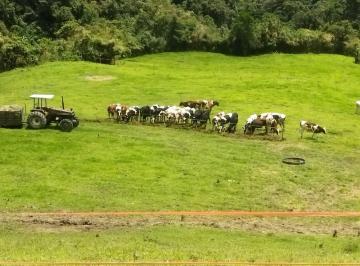 Hacienda-Quinta de 1 habitación, Quito · Calacalí, Hacienda Ganadera, 210 Hetáreas, a 35 Klm de Quito, Producción Pasto