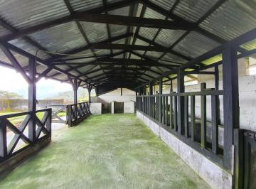 Hacienda-Quinta · 200m² · 3 Habitaciones · 20 Estacionamientos · Venta Hacienda Otavalo - Noroccicidente Vía Valle del Intag Km 28 Sector La Delicia - Apuela, 215 Ha