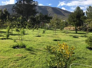TERRENO · Terreno de Venta Pomasqui con Casa 7.000 m² $750.000