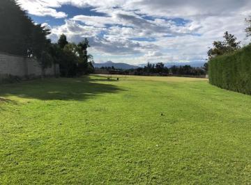 Terreno / Lote , Quito · Arriendo Terreno Puembo / Ubicacion Ideal / Rodeado de Centros Educativos