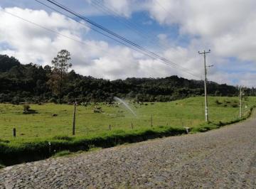 Hacienda-Quinta · 730000m² · Venta de Hacienda 77 Hectáreas Ganadera, Agrícola, Turismo Camino a Los Volcanes
