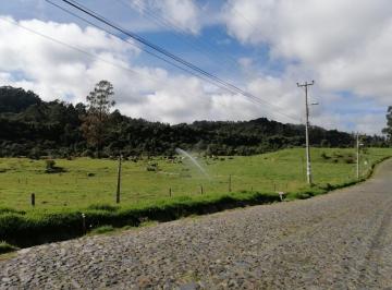 Hacienda-Quinta , Quito · Venta de Hacienda 77 Hectáreas Ganadera, Agrícola, Turismo Camino a Los Volcanes