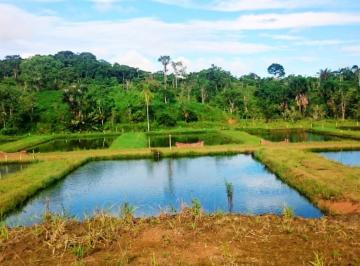 Hacienda-Quinta · 370000m² · Vendo Granja Pisicola con 30 Piscinas en Via a Lago Agrio