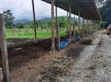 VENTA HACIENDA AGRÍCOLA / GANADERA VÍA ESMERALDAS - QUININDÉ KM 26 SECTOR TIMBRE, ACTUAMENTE EMPRENDIMIENTO GANADO DE ENGORDE TABULADO, 254 HECTÁREAS,PRECIO "GANGA" $850.000 · Venta Hacienda Ganadera Y/o Agrícola Vía Quinindé - Esmeraldas Km²6 Sector Timbre