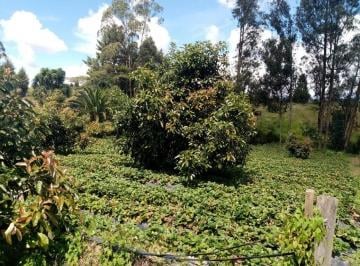 Terreno / Lote de 4 habitaciones, Quito · Vendo Terreno con Casa en Yaruqui - Sector Oton de Velez