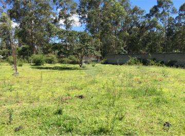 Terreno / Lote , Quito · Vendo Hermos0 Terreno 2.837,50 m² Conocoto