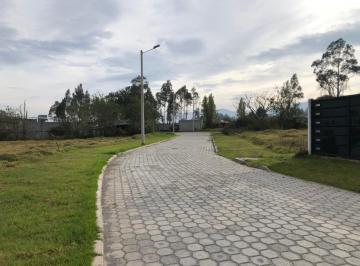 Terreno / Lote en Venta Pifo · Vendo Terreno Plano Vía Pifo