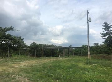 Terreno / Lote , Guayaquil · Vendo Terreno Para Proyecto Urbano en Sector Chongon Guayaquil