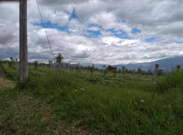 Terreno / Lote · 1m² · Vendo Terreno de 33770 m en Yaruqui