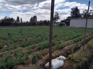 Terreno / Lote · 1m² · Vendo Terreno de 26550 m en Tababela