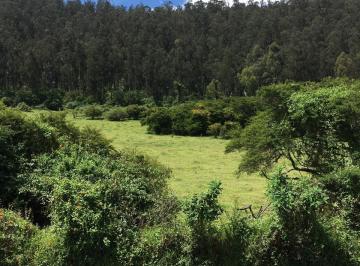 Terreno / Lote , Quito · Ideal Para Negocio. Educacion. Campo Santo. Proyectos