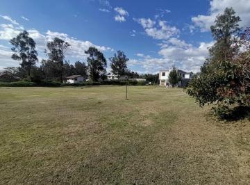 Terreno / Lote , Quito · Vendo Terreno 1881 m² Plano Sector Libertad Puembo
