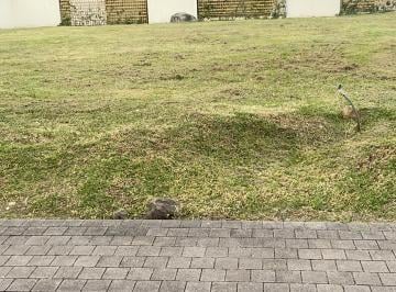 Terreno / Lote , Cuenca · Terreno en Urbanización en Venta.