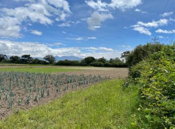 Terreno / Lote · 7722m² · Venta Lotes de Terreno de 7.723 m² Al Filo de Carretera, Via Al Aeropuerto Sector Tababela