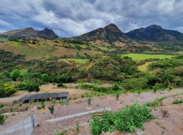 Hacienda-Quinta de 6 habitaciones, Santa Isabel · Exclusiva Quinta en Yunguilla | 30.000 m² de Terreno | 2 Residencias | 3.500 Plantas Frutales