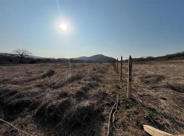 Terreno / Lote · 8985m² · Venta de Terreno Rural en Montecristi