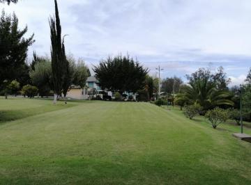 Departamento · 13583m² · 6 Habitaciones · 20 Estacionamientos · Venta de Quinta Vacacional de 13583 m² en Venta en Puembo