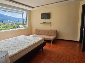 Departamento de 2 habitaciones, Quito · Rep del Salvador Rento Dep Amoblado