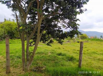 Terreno / Lote · 1m² · Excelente Terreno Plano en pifo¡Alta Plusvalía
