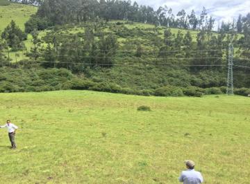 Hacienda-Quinta · 480000m² · Oyambarillo Hacienda de Venta Precio de Oportunidad