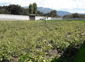 Terreno / Lote , Quito · Re/max Futuro Vende Ideal Terreno en Tumbaco de 2003 m² Usd $220.000
