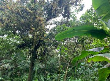 Terreno / Lote , Manta · Finca de Venta en Bosque Pacoche Manta Manabí Bl